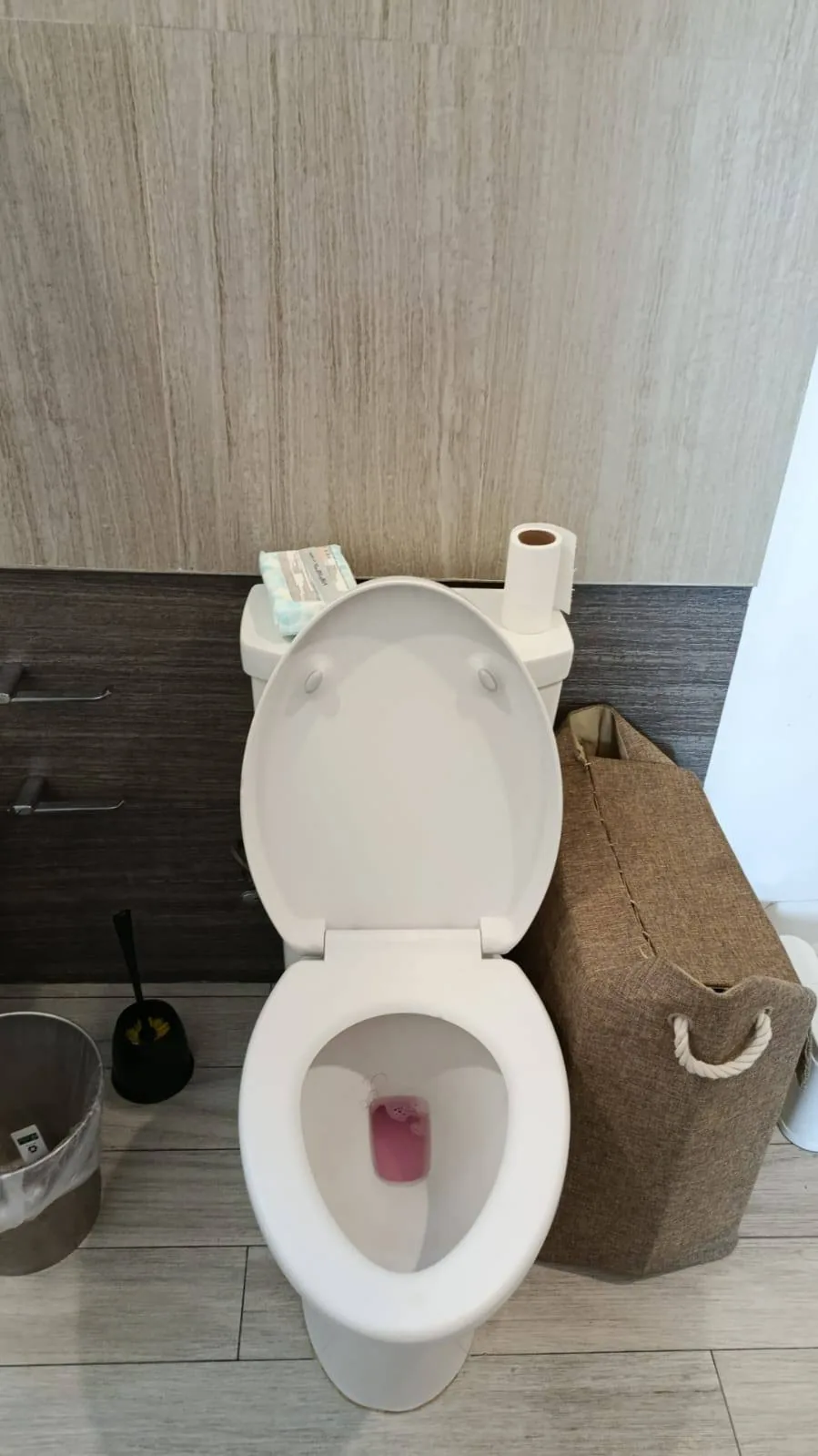 Limpieza de sanitario